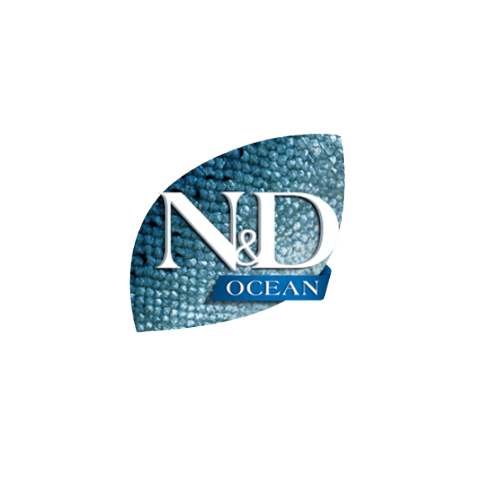 N&D - logo