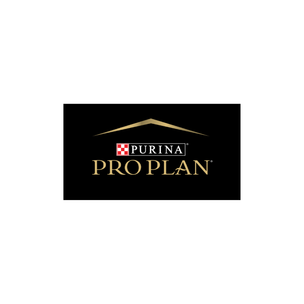 Pro Plan - logo